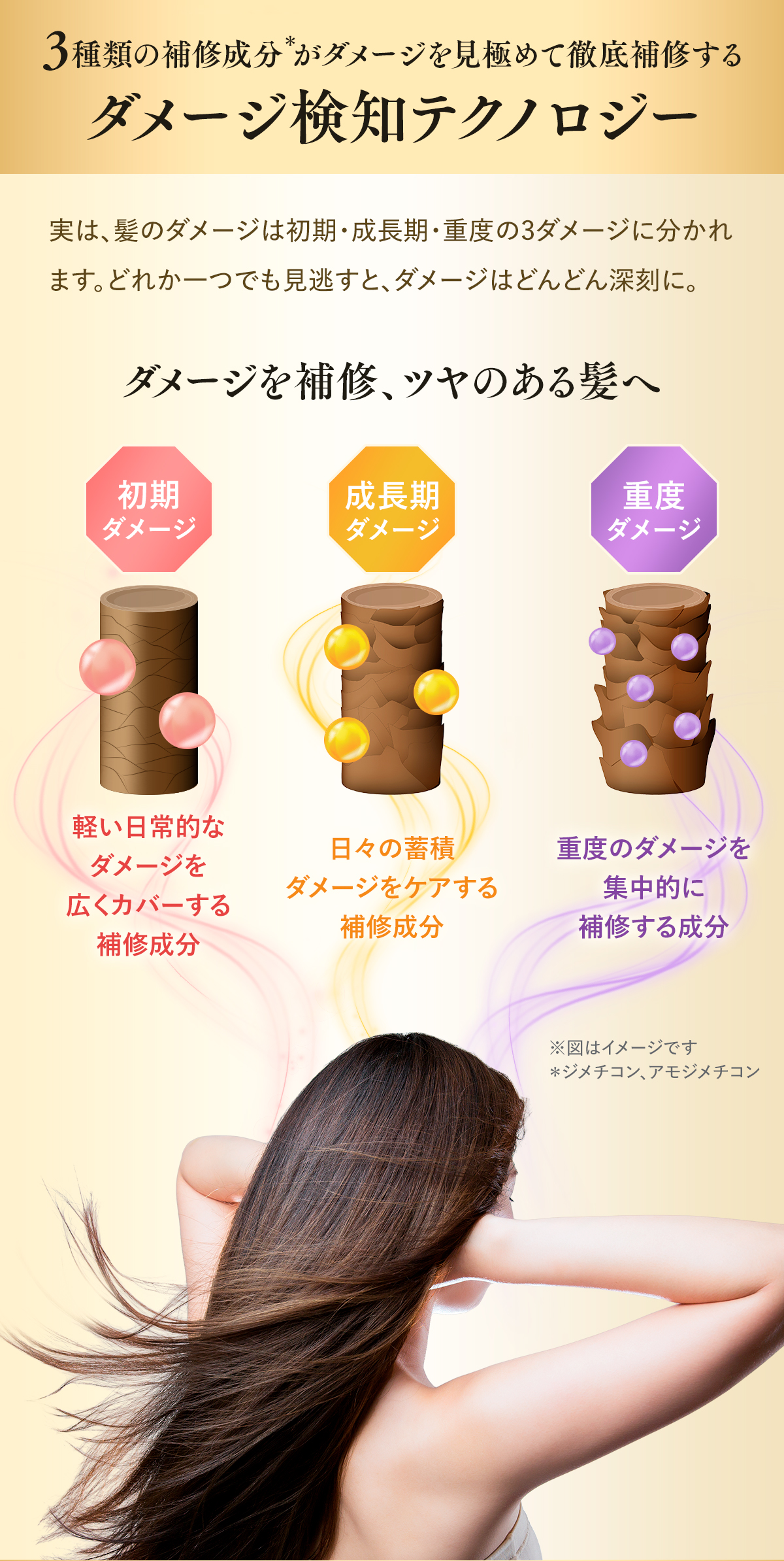 LUX×MAZZEL_製品紹介2