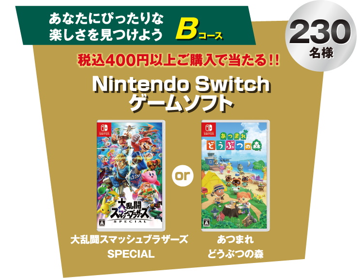あなたにぴったりな楽しさを見つけよう Bコース 税込400円以上ご購入で当たる!! Nintendo Switch ゲームソフト