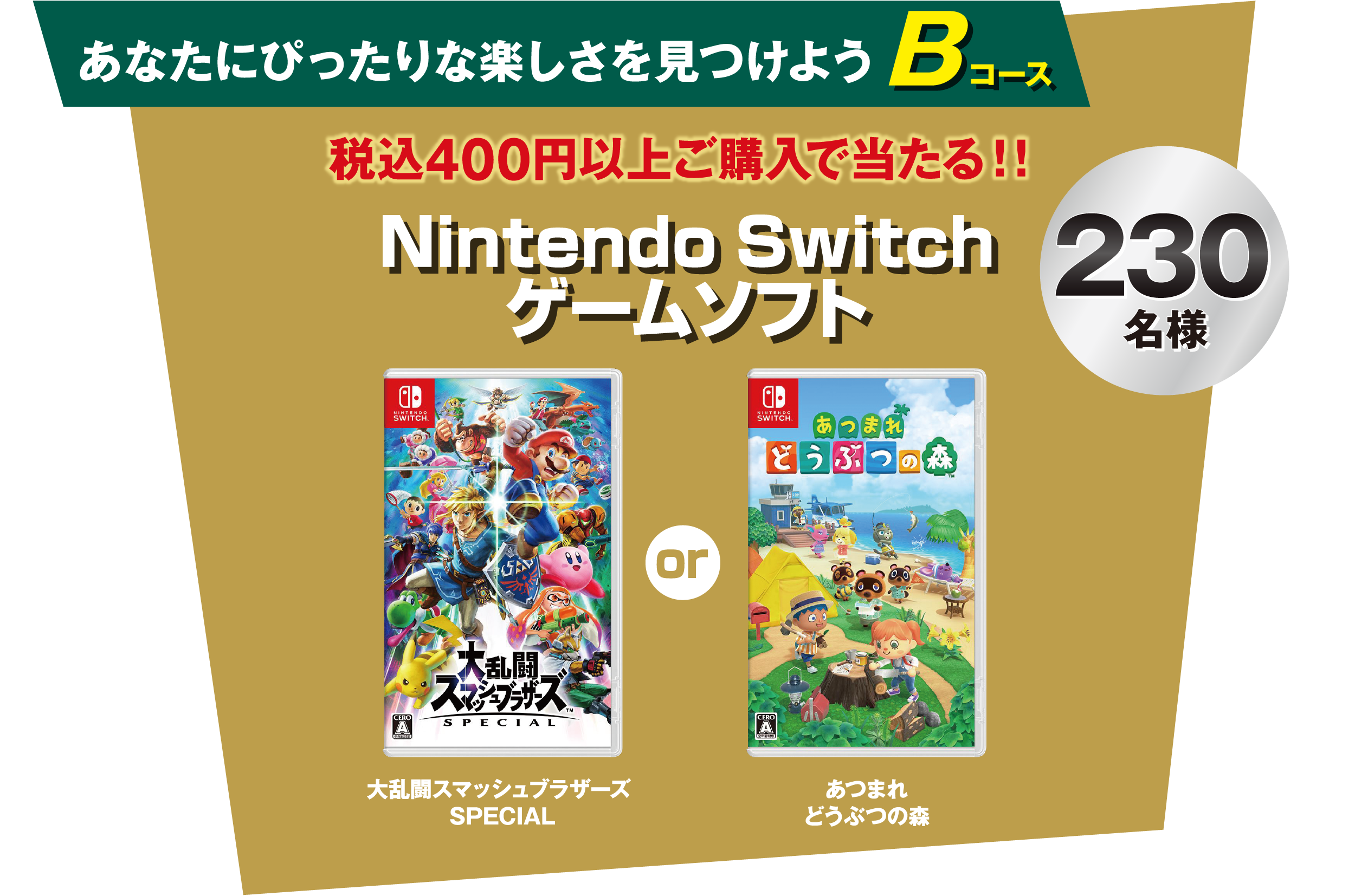 あなたにぴったりな楽しさを見つけよう Bコース 税込400円以上ご購入で当たる!! Nintendo Switch ゲームソフト