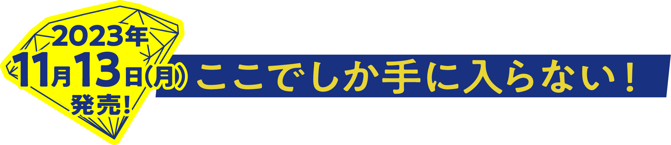 2023年11月13日(月)発売! ここでしか手に入らない!
